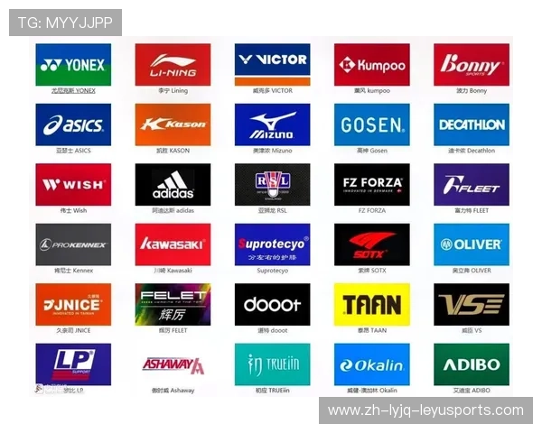 羽毛球品牌ap