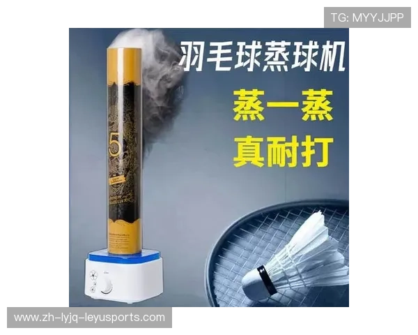 蒸球机蒸羽毛球